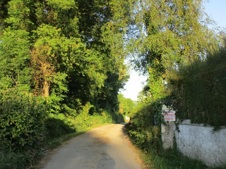 Private road, Carrigadaggan