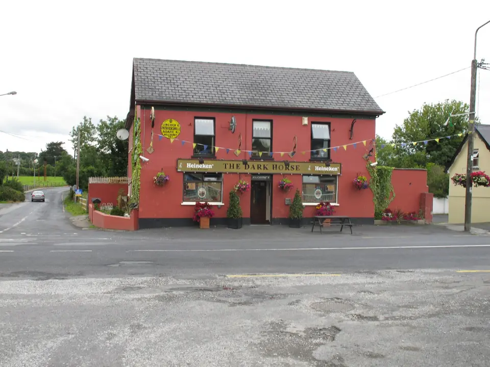 Public house in Patrickswell