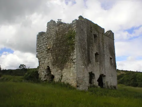Pucks Castle, Shankill, Dublin, Ireland