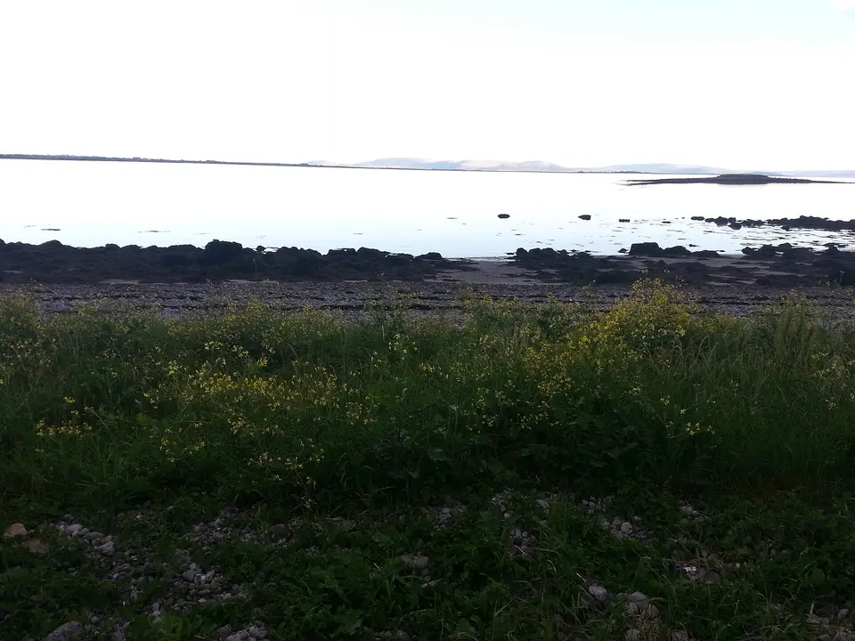Rabbit island, from Ballyloughane