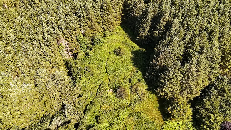 Rath Turtle Moat aerial 2025 07 12 04