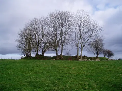 Ringfort at Cabragh geograph.org.uk 505171