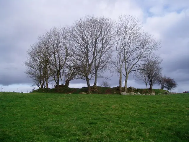 Ringfort at Cabragh geograph.org.uk 505171