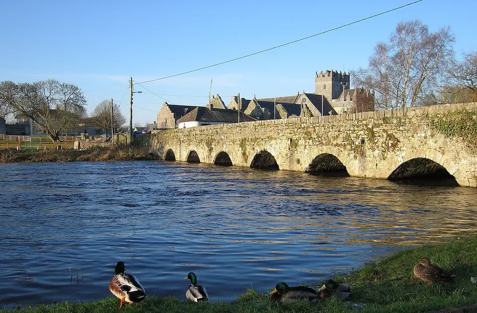River, Abbey, Ducks The River Suir in Holycross, County Tipperary