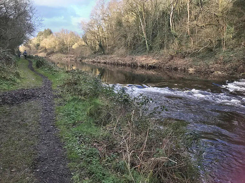 River and Woods
