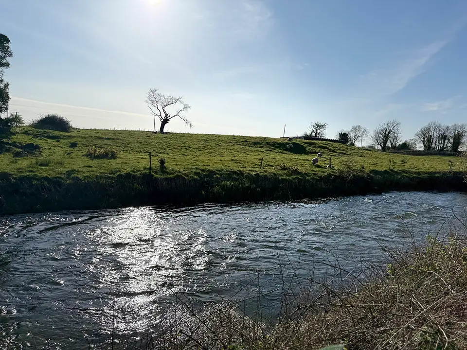 River lake