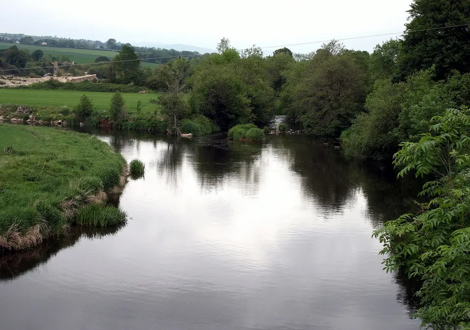 River Slaney, County Wexford, County Carlow
