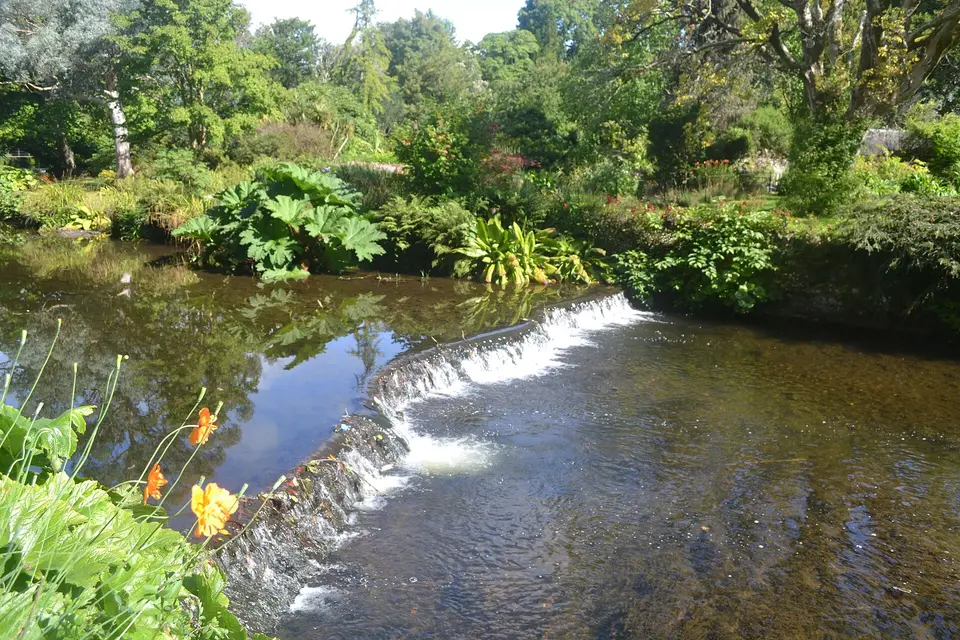 River Vartry, Mount Usher Gardens