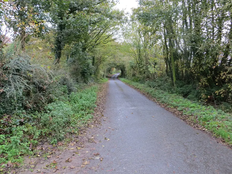 Road from Boshnetstown to L1511