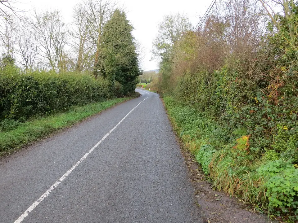 Road (R663) from Lissanarroor to Galbally