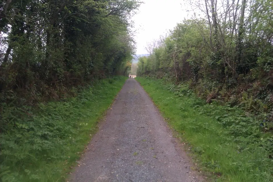 Road to Raheen Quay