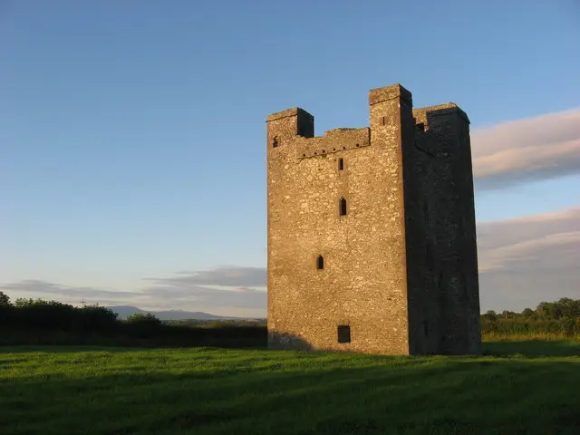 Roodstown Castle, Co. Louth geograph.org.uk 881262