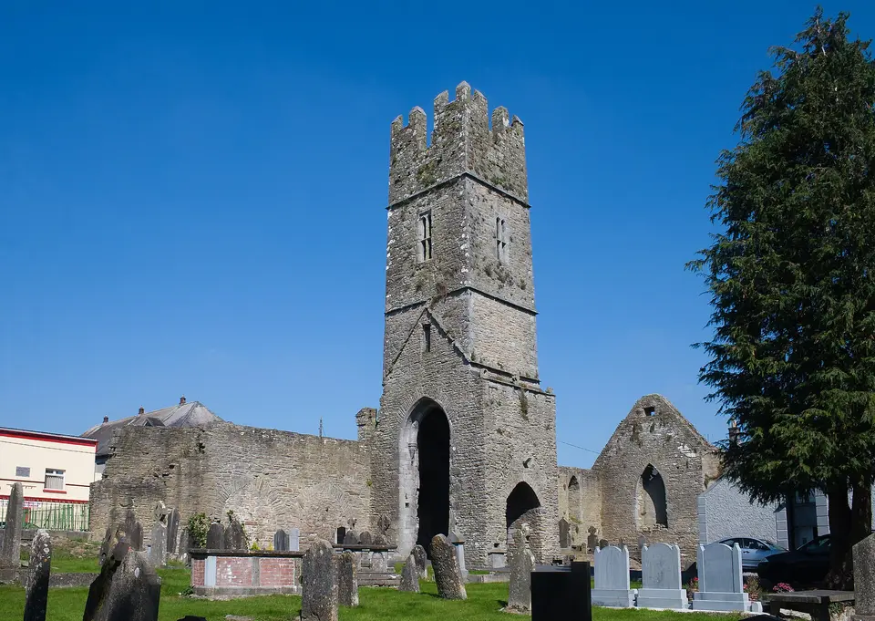 South-west view of Roscrea Friary.