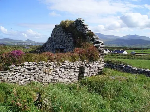 Ruined church and burial ground at Ballywiheen. The ruin of the chapel is surrounded by gravestones. The ground is very uneven. The Brandon group mountains are in the distance.