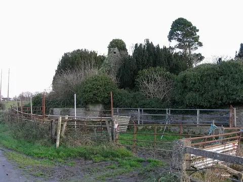 Ruined Church and Cattle Pen Ancient ruined overgrown church with cattle pen alongside.