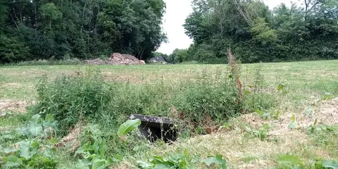 Saint Brendan's Well (holy well in Aghaviller, Co. Kilkenny)