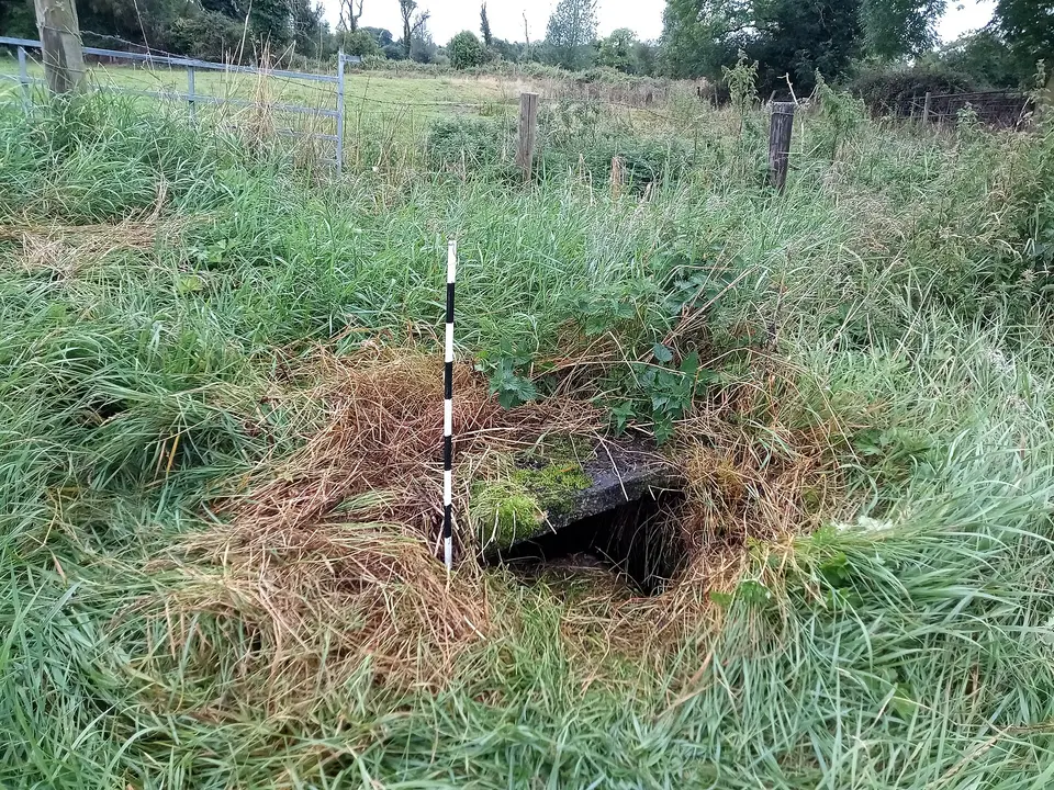 Saint Nicholas' Well in Newtown Jerpoint. The units on the ranging rod are 10cm.