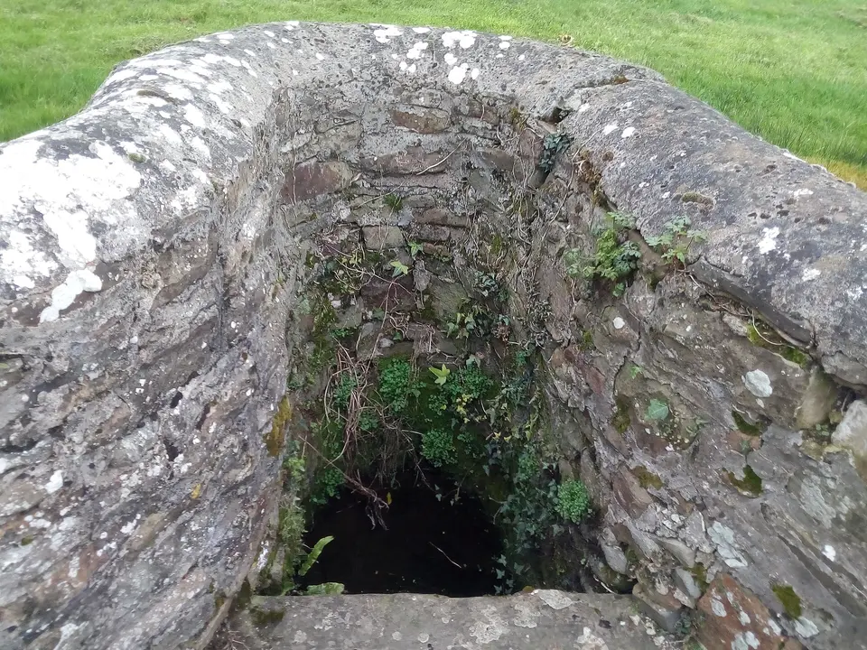 Holy well dedicated to Saint Scoheen (Scuithin) at the newer graveyard in Freneystown, Co. Kilkenny