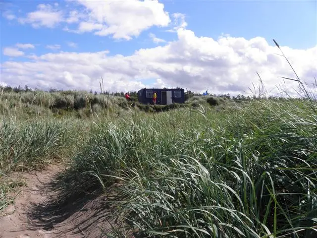 Sand dunes, Murvagh Strand