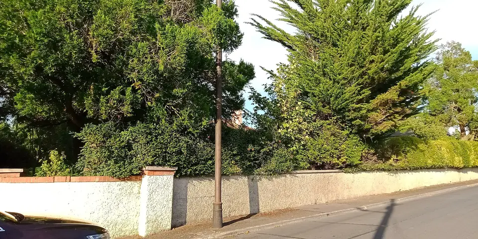Sewer vent Station Road Bennettsbridge
