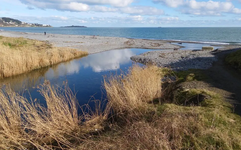 Shanganagh River mouth on Killiney Strand
