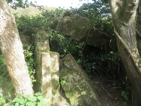 Shankill (Carickgollogan) Wedge Tomb -3