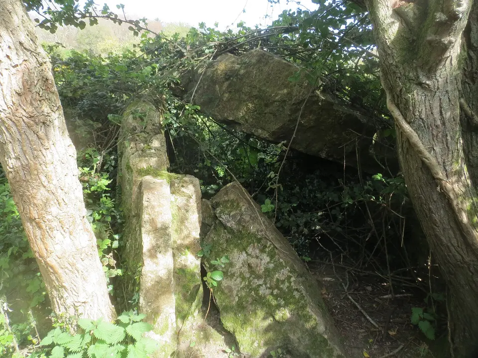 Shankill (Carickgollogan) Wedge Tomb -3
