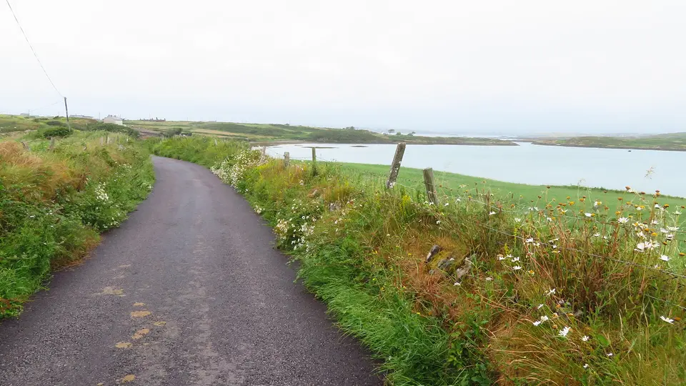 Sherkin Island - lane west of Kinish Harbour