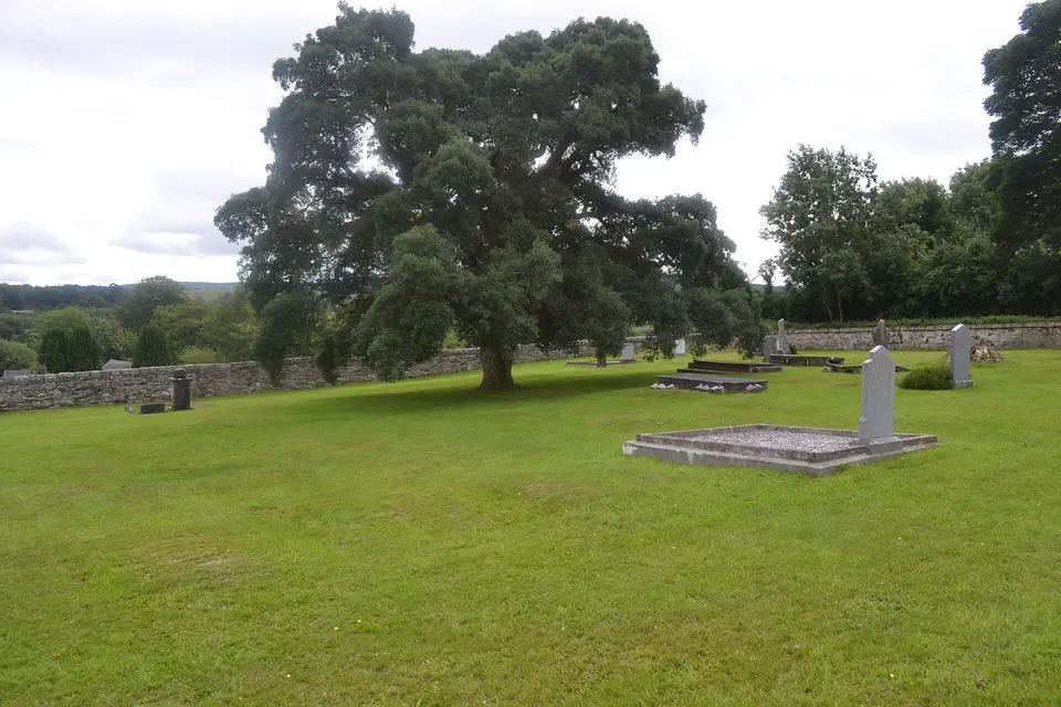 Shillelagh church yard