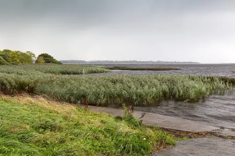 Shore of Lough Derg near Portumna