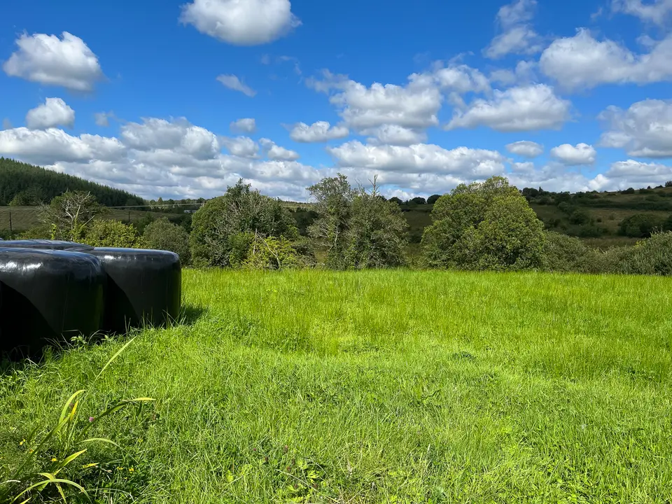 Silage bales