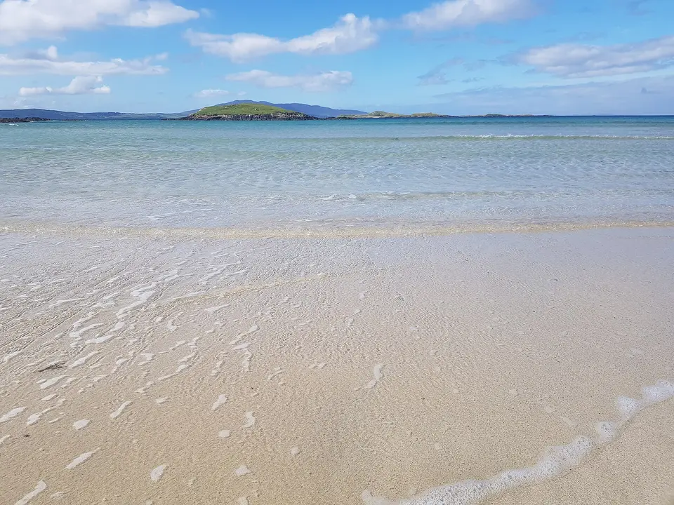 beach mayo