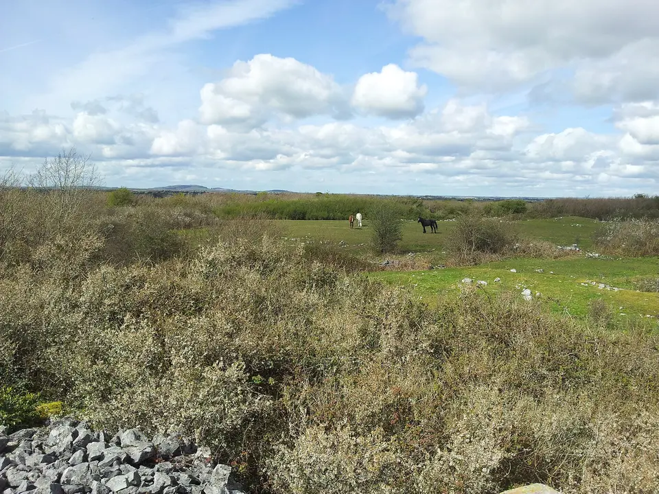 Site of the Battle of Knockdoe 1504
