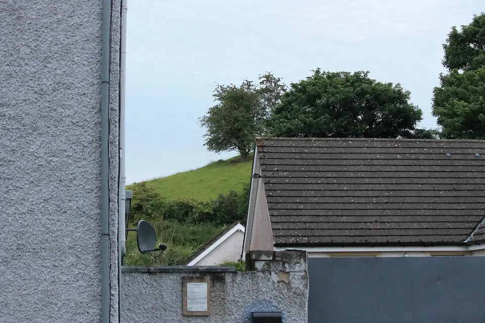 Slopes of Close Hill, Ballymore Eustace, Co Kildare, Ireland 01