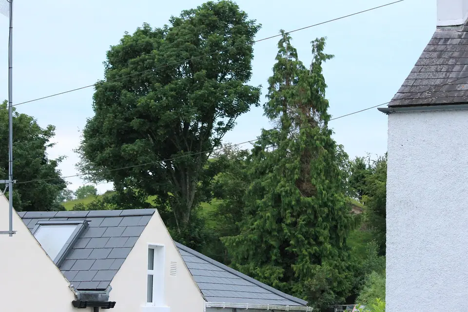Slopes of Close Hill, Ballymore Eustace, Co Kildare, Ireland 02
