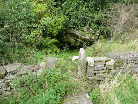 Spring at Kilree