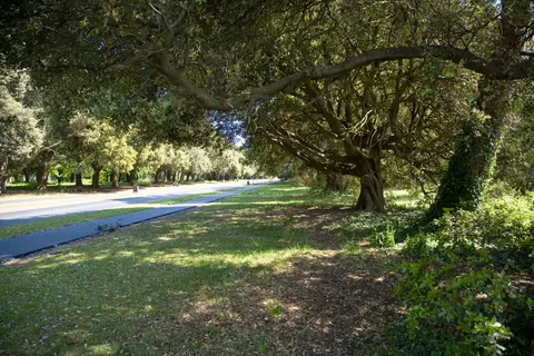 St. Anne's Park - Dublin