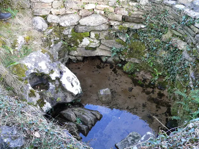 St Attracta's Well.