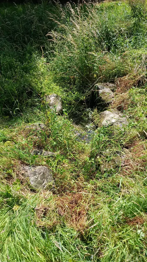 St Brigid's Well in the Church of Ireland graveyard of Ballintubbert