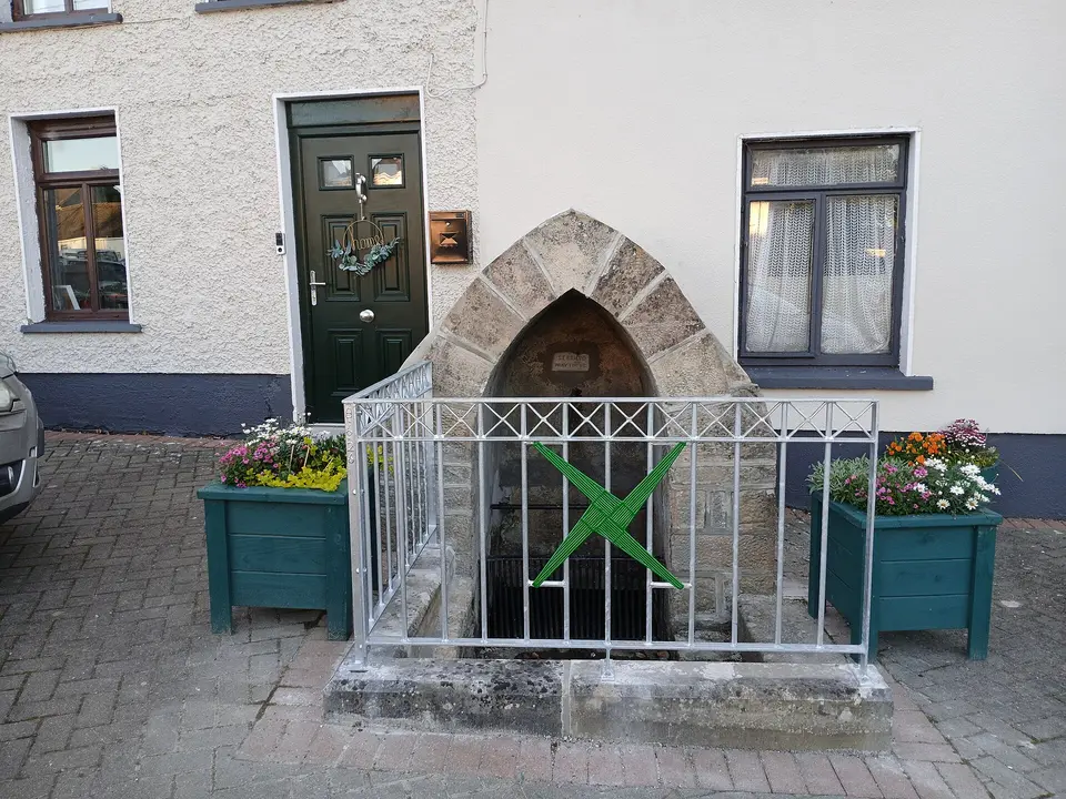 St Brigid's Well in Rosenallis
