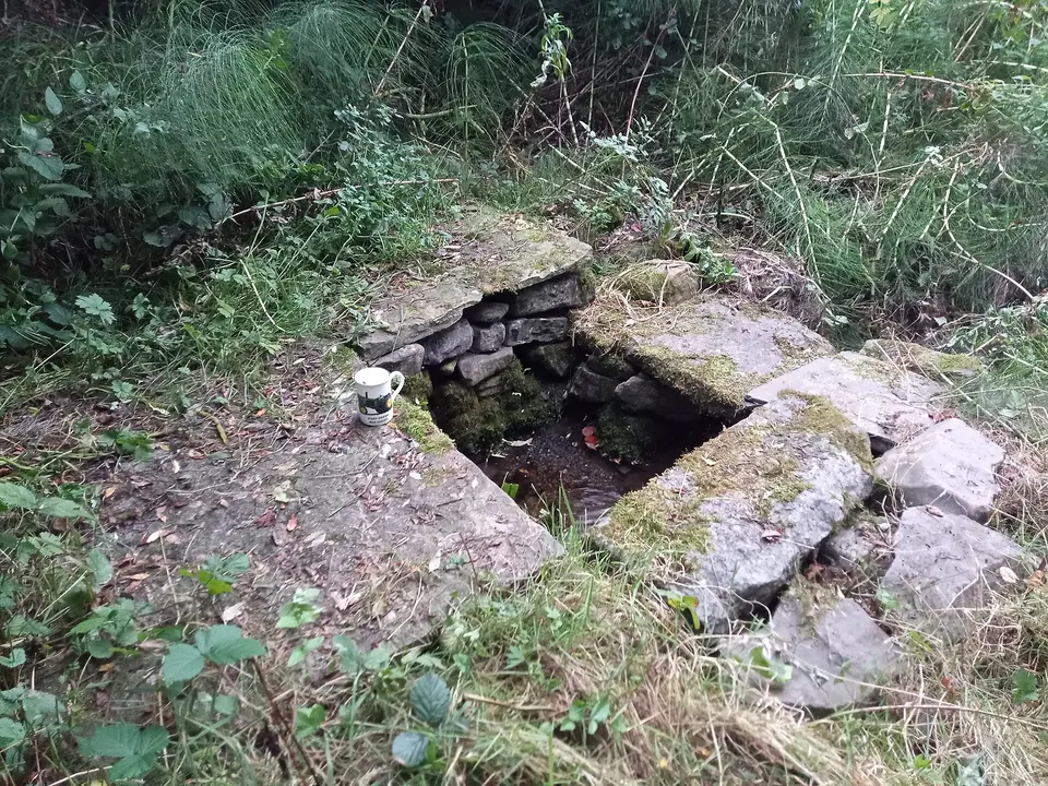 St Brigid's Well, Toberbreedia with a cup for scale.