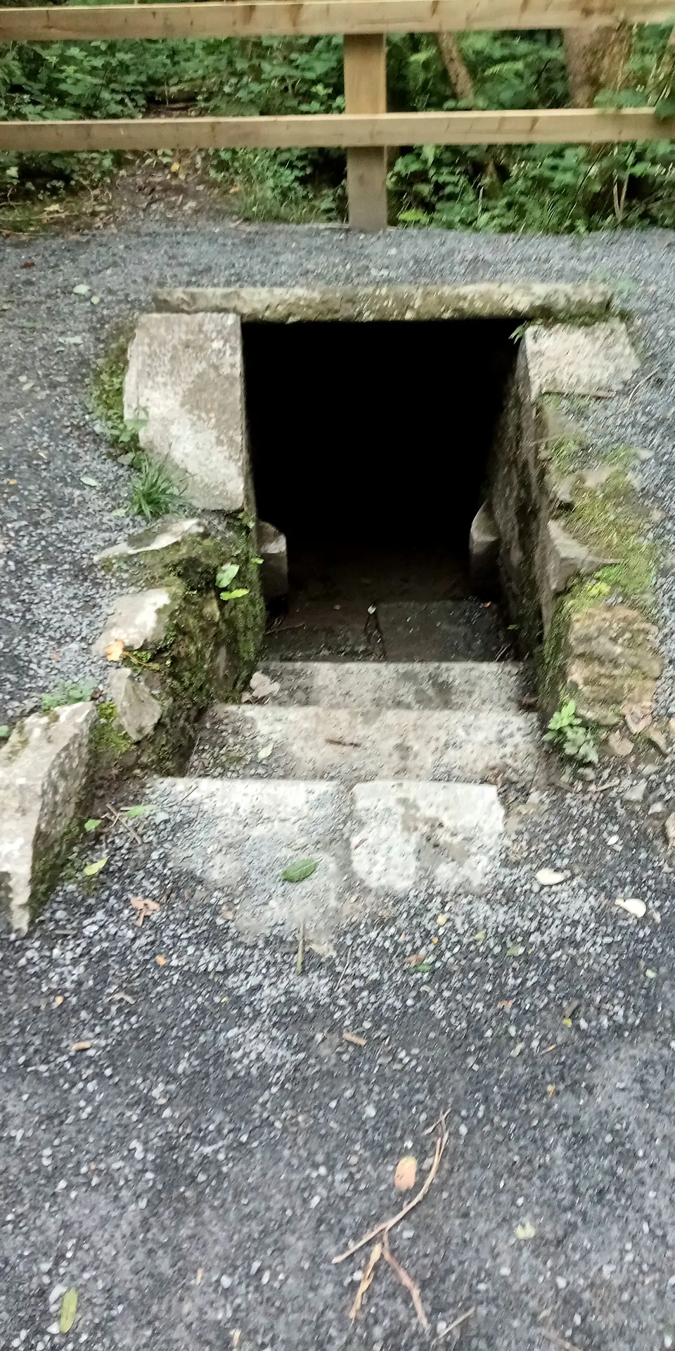 St Colman's Well (holy well in Jenkinstown, Co. Kilkenny)