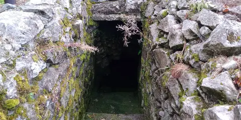 St Fiachra's Well Sheastown
