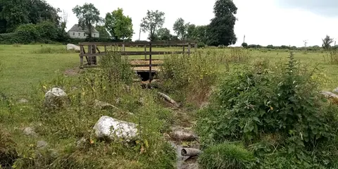 St Fiachre's Well, Ullard, in its enclosure in a sheep pasture. Seen from the stream the runs from it into the field.