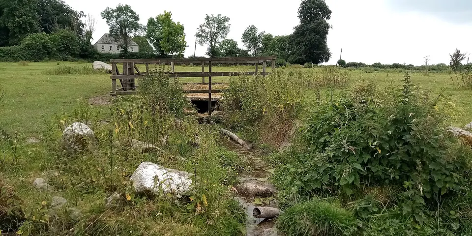 St Fiachre's Well, Ullard, in its enclosure in a sheep pasture. Seen from the stream the runs from it into the field.