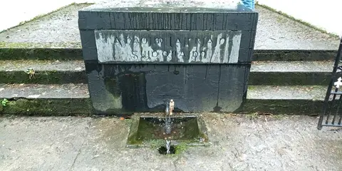 St Laserian's Well (holy well in Old Leighlin, Co. Carlow)