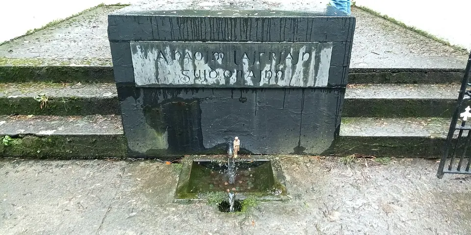 St Laserian's Well (holy well in Old Leighlin, Co. Carlow)