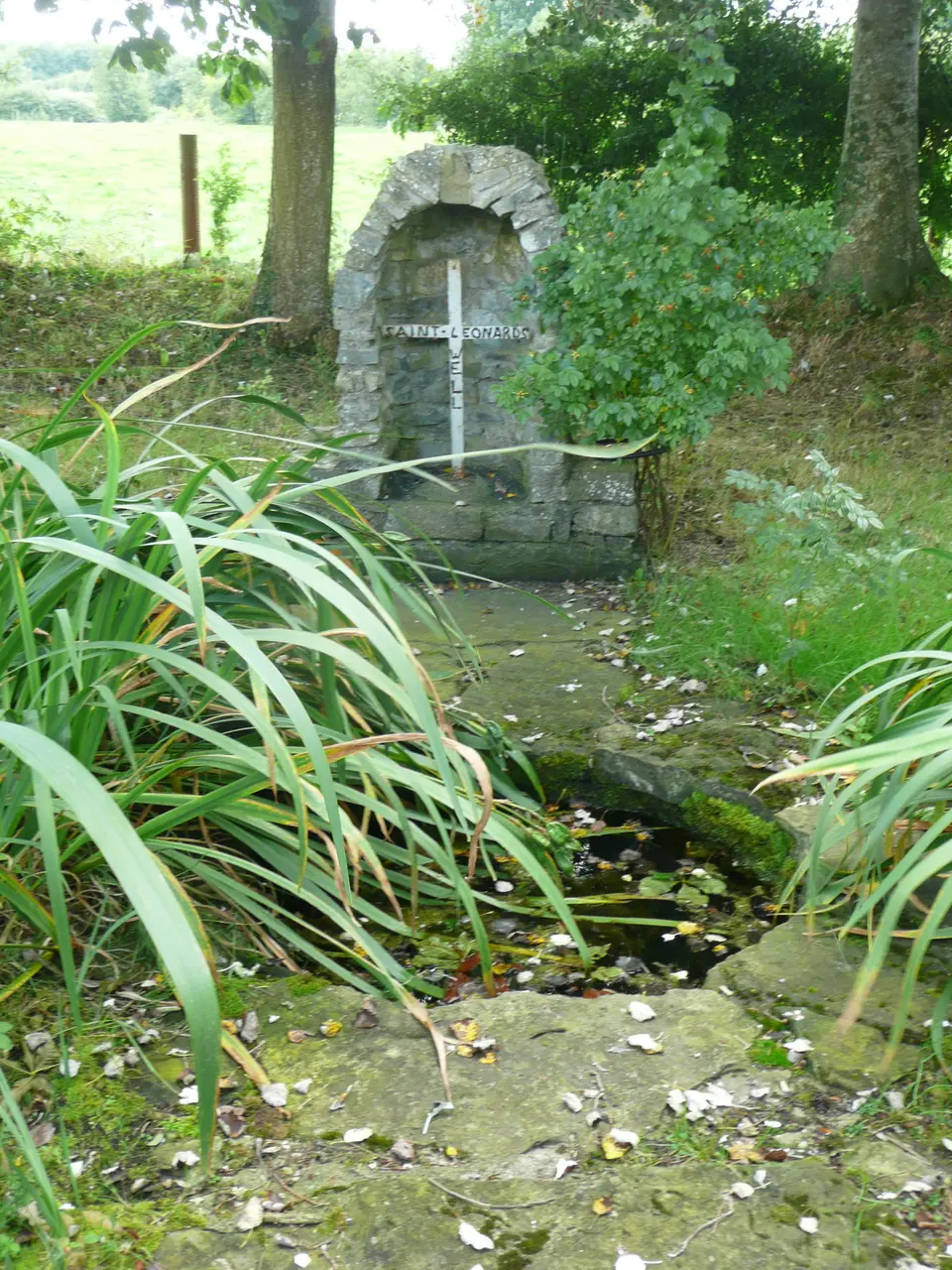 St Leonard's Well, Dunnamaggan