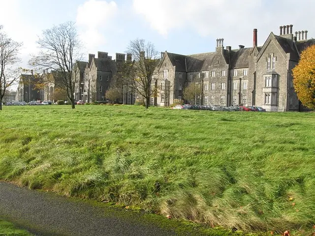 St Loman's Hospital Psychiatric Hospital at Petitswood on the outskirts of Mullingar.