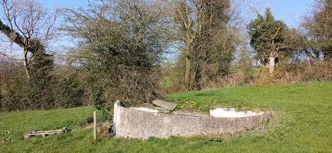 St Longory's Well and rag tree. The well does not seem sufficiently protected from cattle invasion which is not ideal for a source of drinking water.